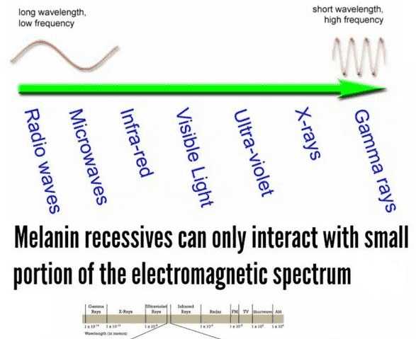 018-b-09-melanin-full-spectrum.png