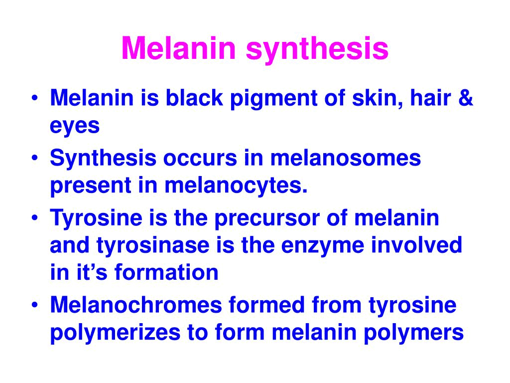 028-c-01-a-melanin-synthesis-information.png