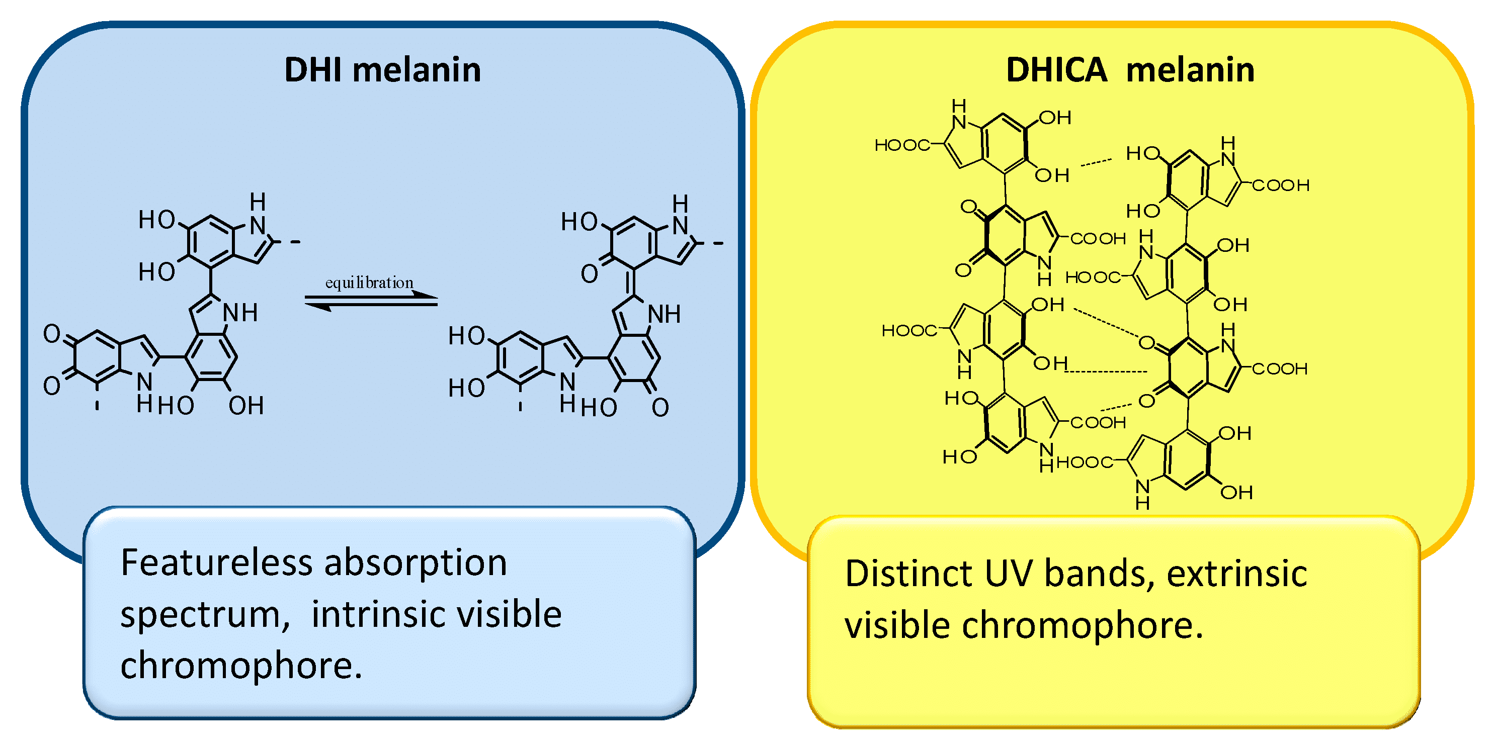 040-c-10-melanin-dhi-and-dhica.png