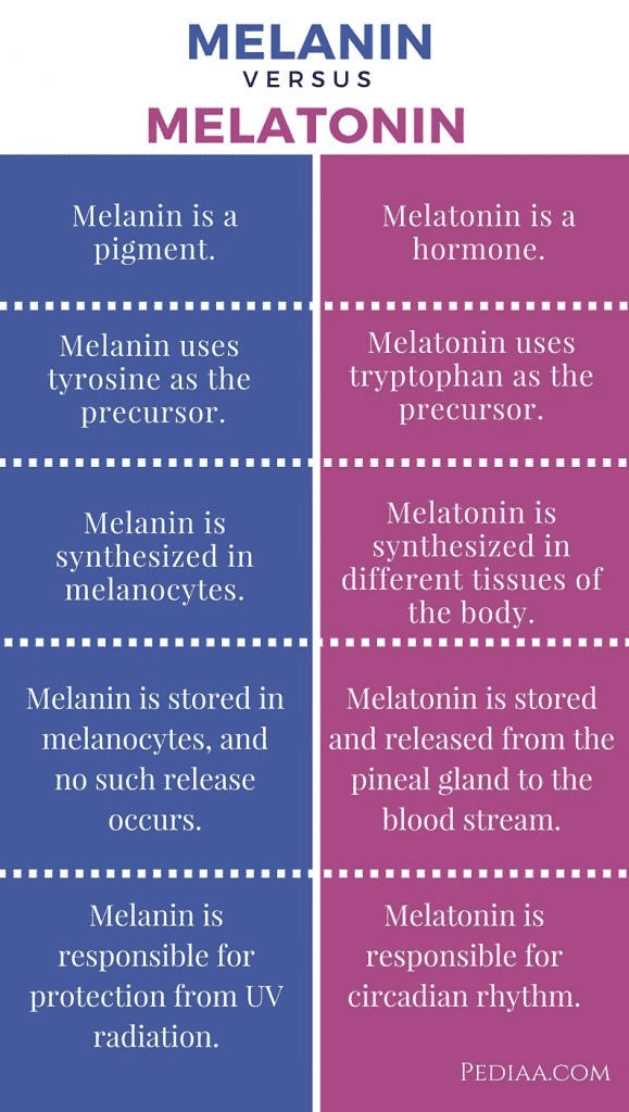 047-d-07-melanin-and-melatonin.png