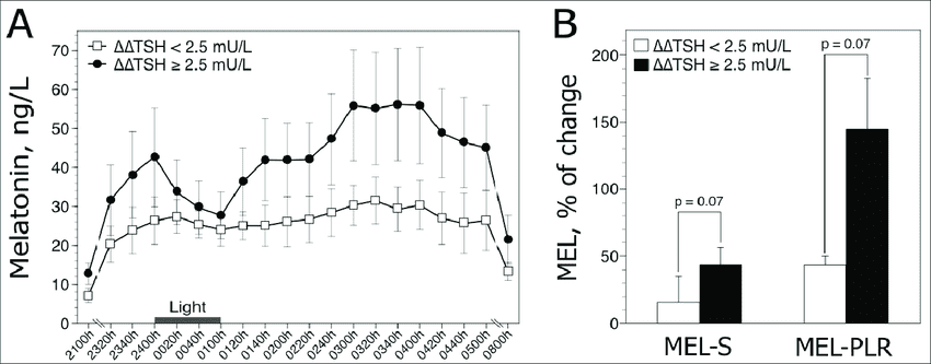 050-d-10-melatonin-notcturnal.png