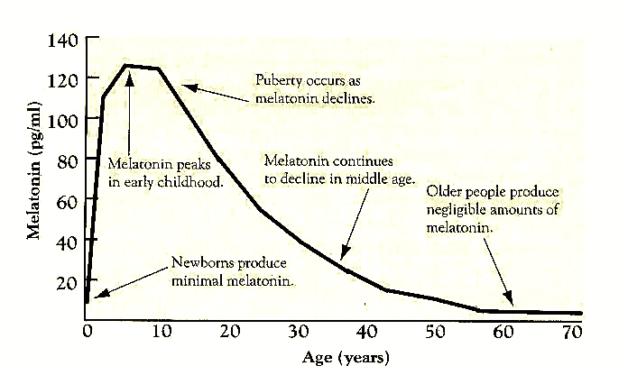 051-d-11-melatonin-and-age.png